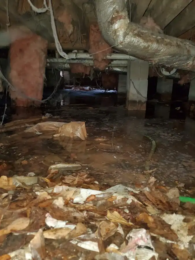 Crawl space flood assessment for Leak Detection & Repair in Johnstown